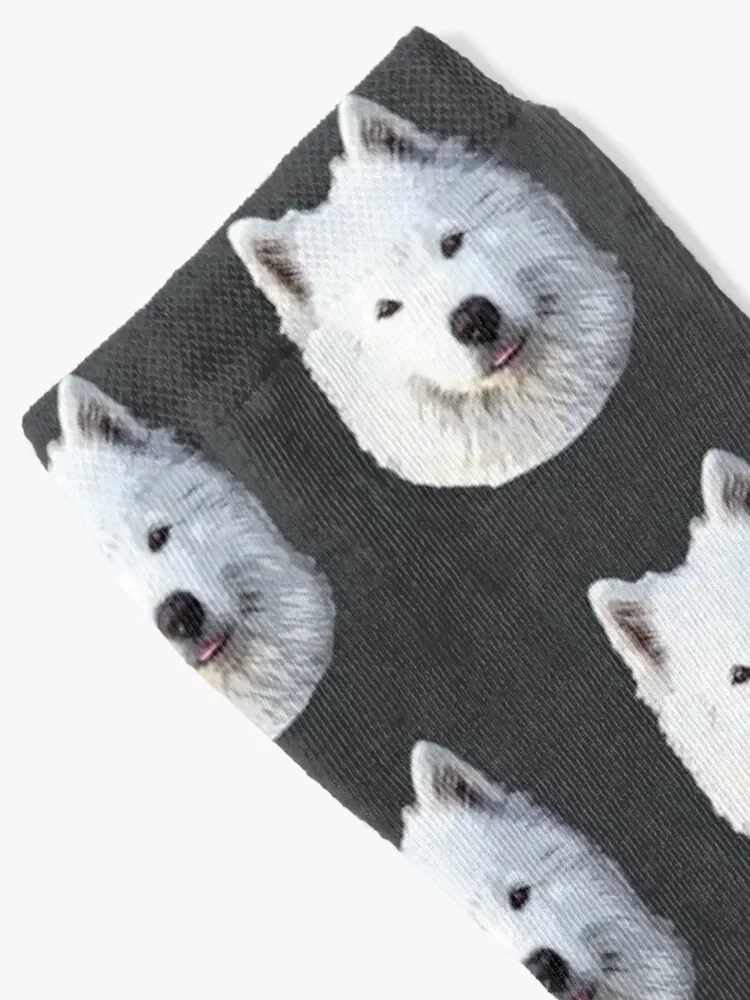 Samoyed- Stunning Dog! Socks winter Christmas anime Socks For Women Men's