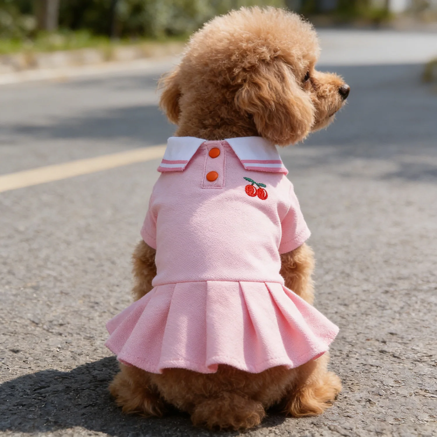 Thumbnail 2 - #41 Trending Pet Apparels Right Now