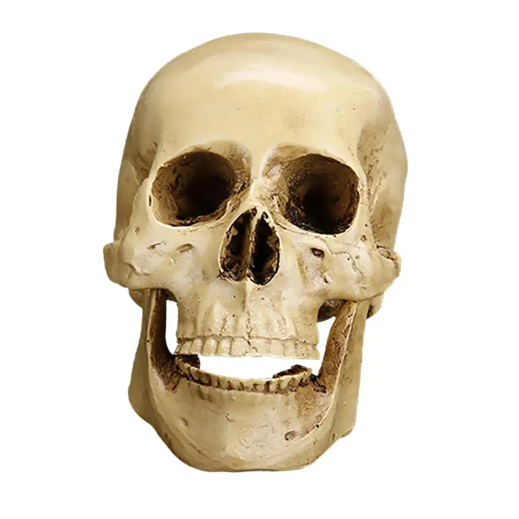 Resin Gothic Human Skull Ornament Collectible Model Figurine Crown Hand Carved for Party Home Decoration