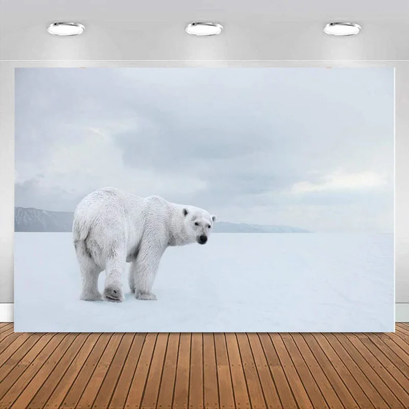 LATAR BELAKANG musim dingin putih Snowscape fotografi latar belakang beruang kutub di jalan luar ruangan pesta liburan anak-anak bayi spanduk dekorasi