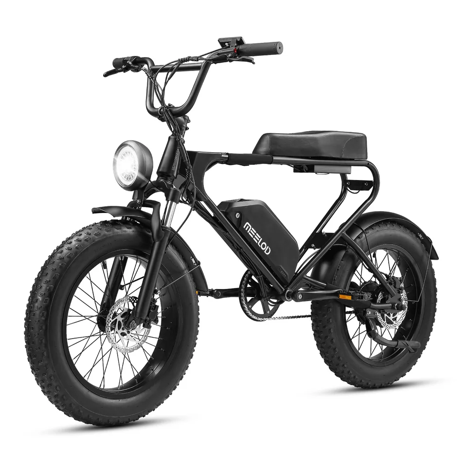 MEELOD DK200 adult E-bike 1008W 48V 12.5Ah battery commute Electric Bike,20-inch Fat Tire E-Mountain bike image 2