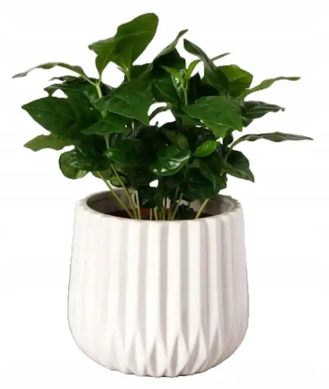 Keramische bloempot gegroefd 13 cm Wit