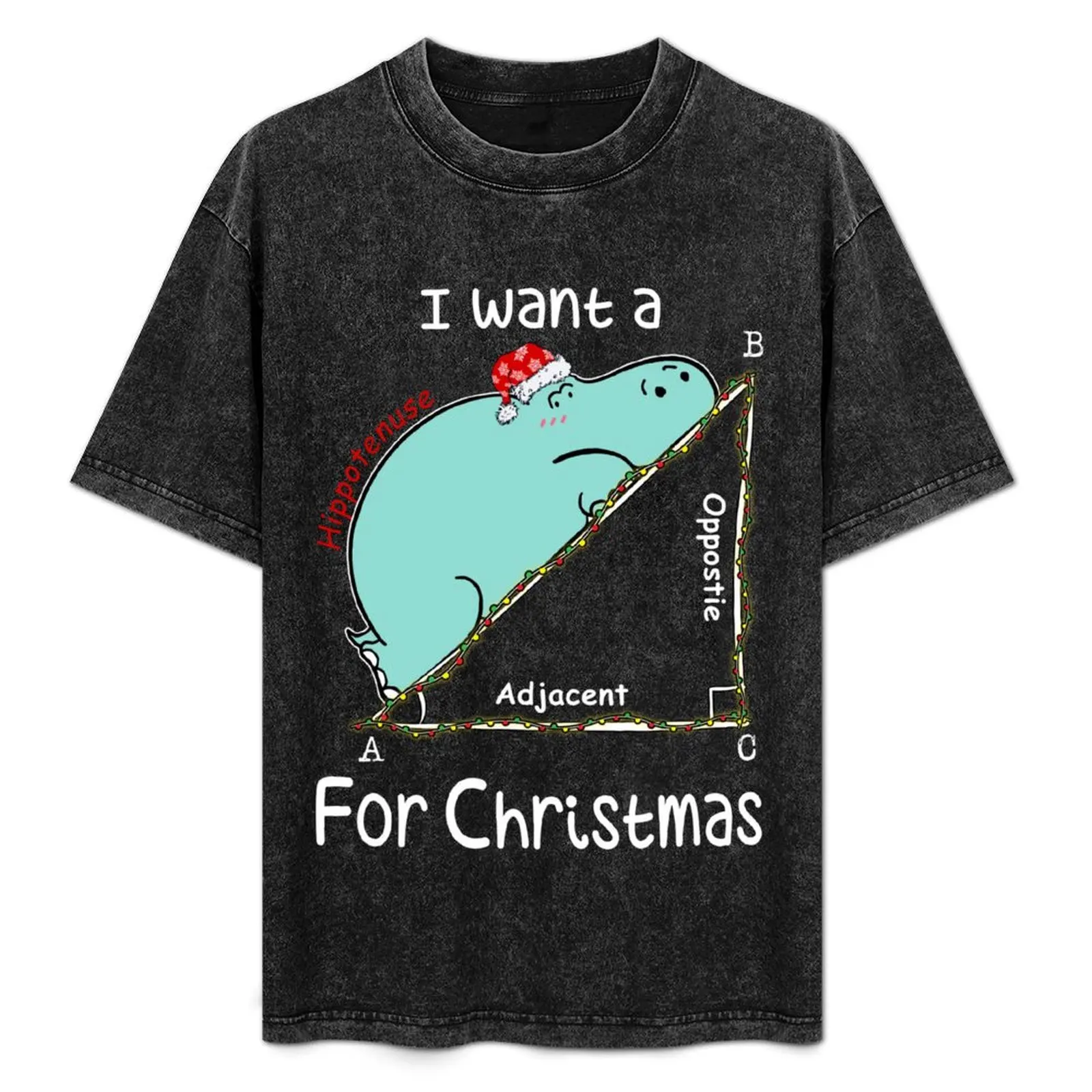 

I Want A Hippopotenuse For Christmath Christmas Math T-Shirt hippie clothes heavyweights Aesthetic clothing men clothings