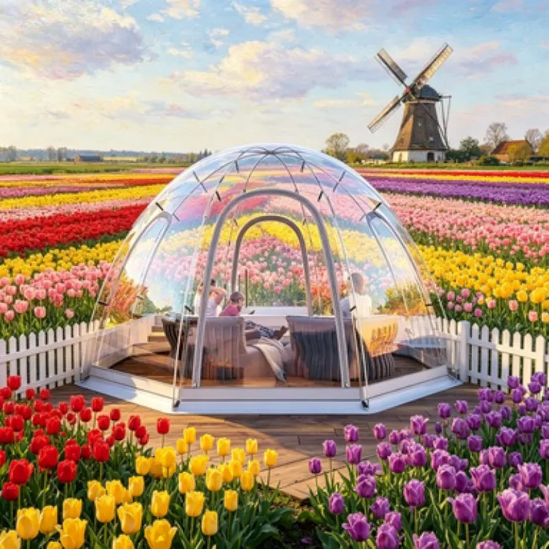 Starry Sky Bubble House Glamping Dome Tent Room 3m 5m 8m Prefab PC Transparent Geodesic Dome for Camping Hotel Use Sale