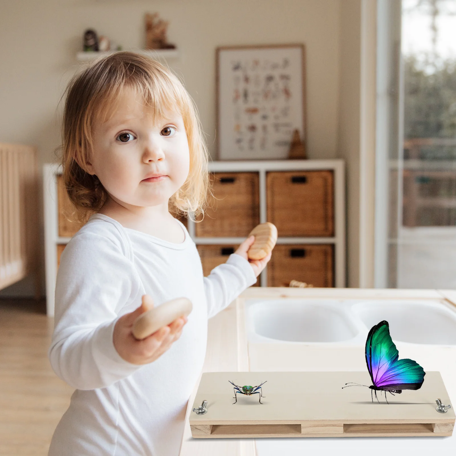 

Adjustable Butterfly Wing Spreading Board Insects Specimen Pinning Tool Plastic Posing Plate For Collecting Display