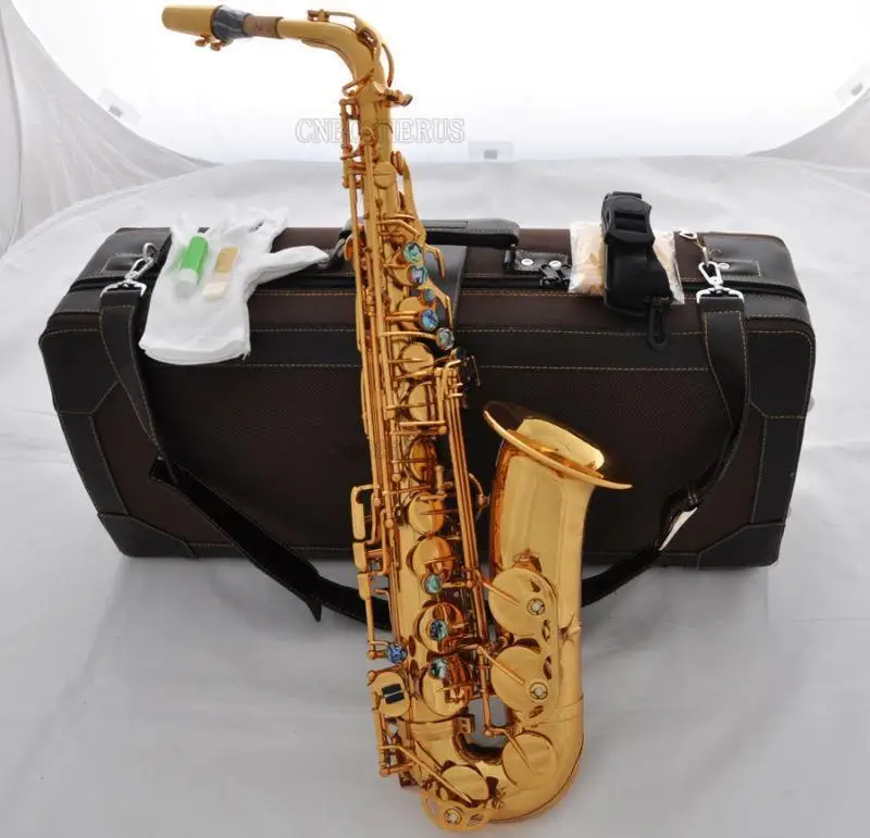 

type Professional NEW Alto Eb Saxophone Gold finish E-flat Sax With Case