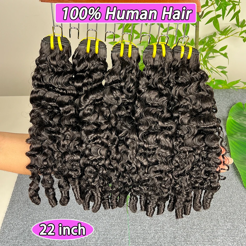 Burmese Curly Human… - image