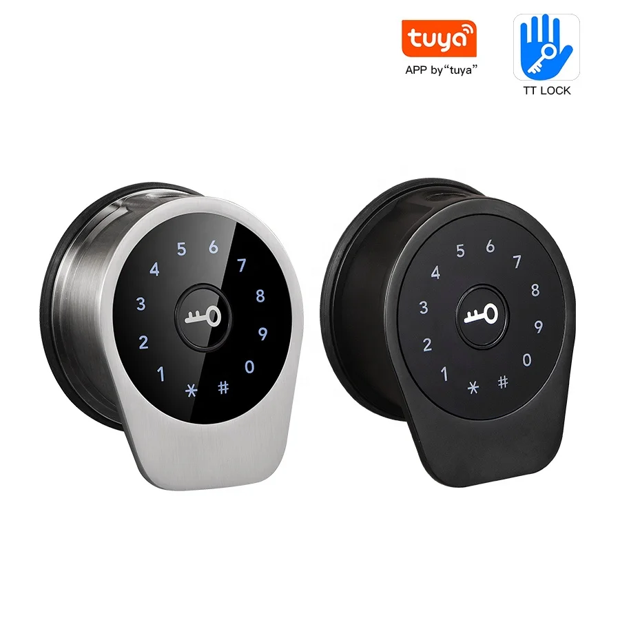 Handaily Zinc Alloy Keyless Door Lock Tuya Password Tt Lock Smart Fingerprint Lock