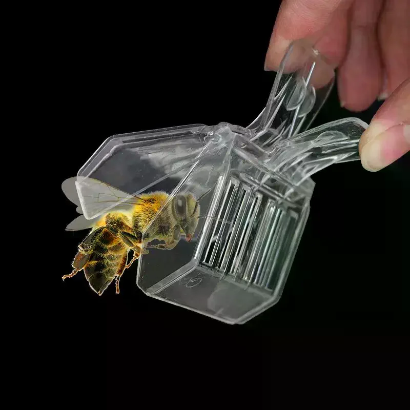 

3/5 прозрачные клипсы для пчел, пластиковые зажимы, клетки для королевы, ловцы пчел, инструменты для пчеловодства