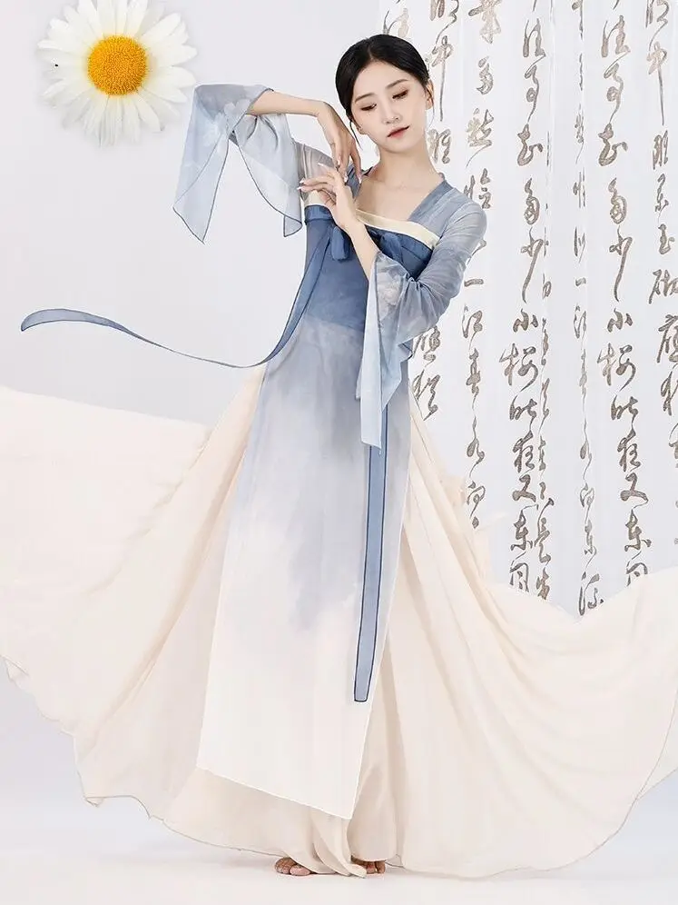 Chinese Classical Dance Costumes Martial Arts Costumes Elegant Gauze Top Long Chinese Dance Performance Dress