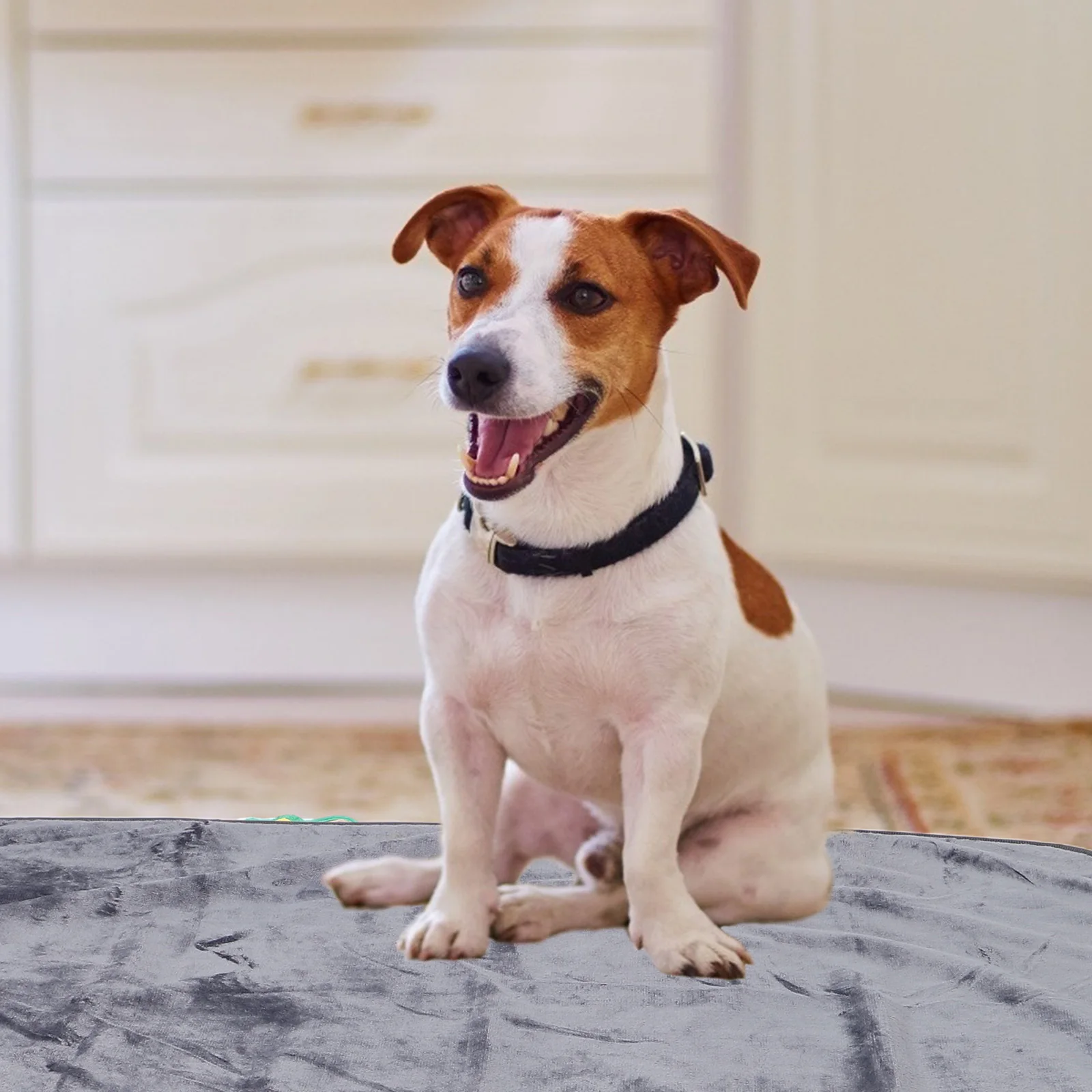 Selimut Hewan Peliharaan 100x75cm Tahan Air untuk Anjing, Alas Pelindung Furnitur yang Dapat Dicuci untuk Tempat Tidur, Mobil, Penggunaan Luar Ruangan