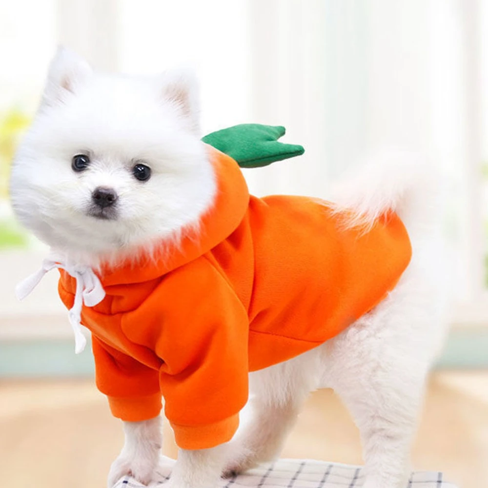 Winter Warm Cotton Dog Clothes Cute Frog Solid Hoodies Fleece Pet Dog Jacket Coat For French Bulldog Chihuahua Dog suit