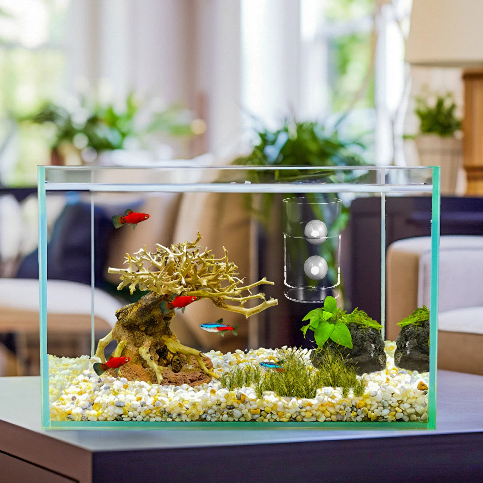 

Aquarium Fish Tank Feeder Suction Cup Transparent Feeding Ring Antidrift Large Capacity Aquarium Feeding Tool