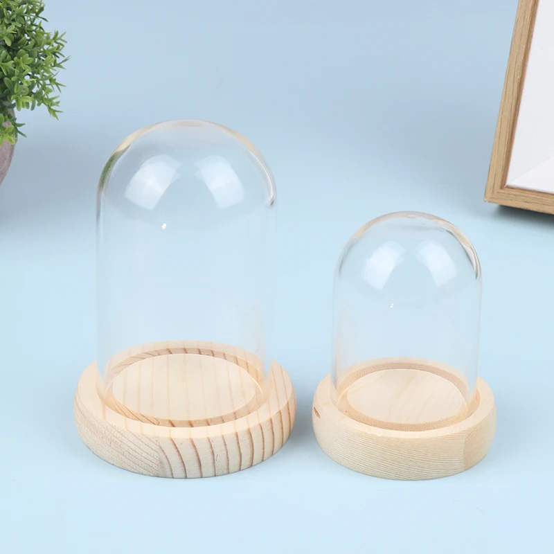 1pcs Flower Glass Cover With Wooden Base Dome Cover For Succulent Plants Home Decor DIY Dustproof Case Display Stand Dust Cover