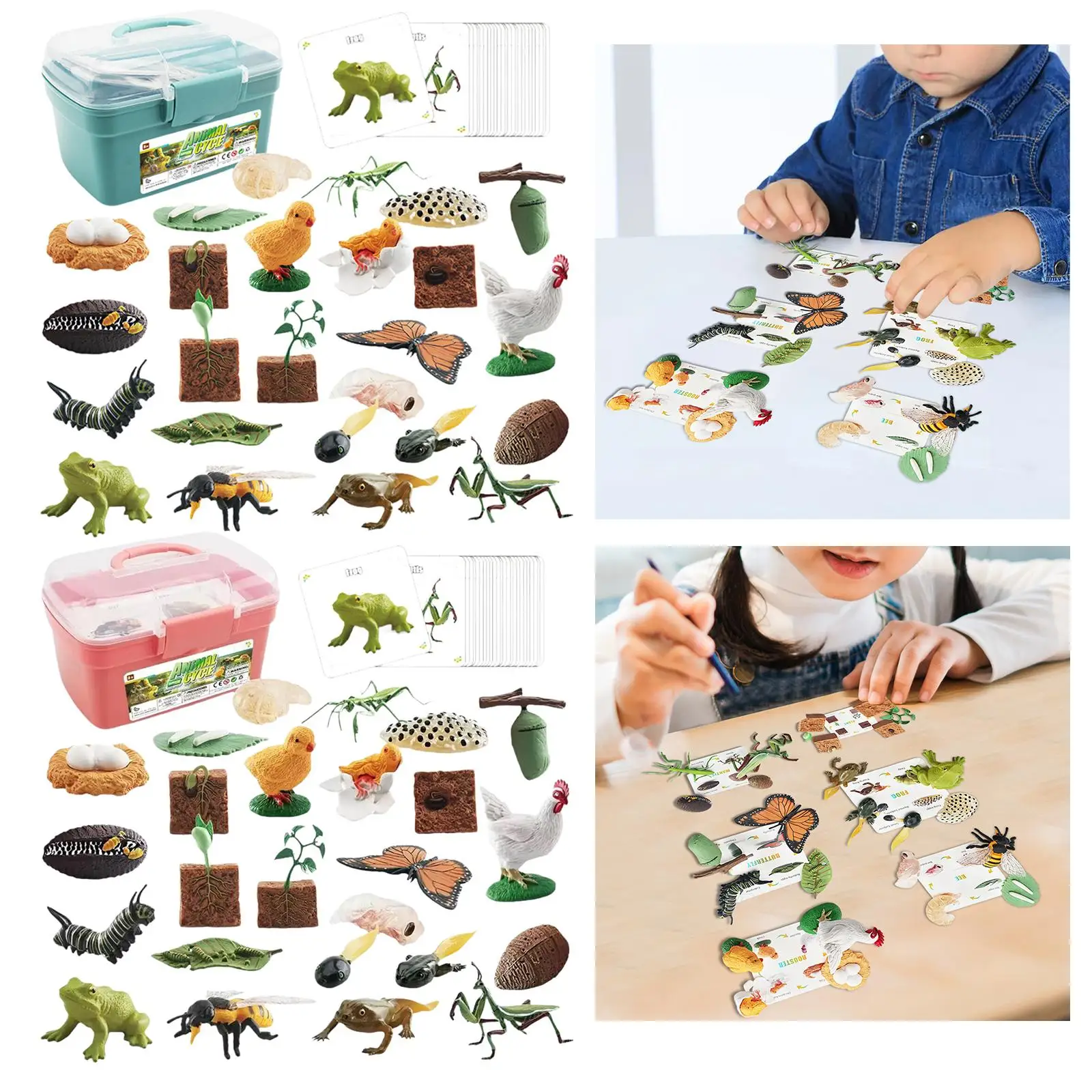 Montessori Animal Growth Cycle Figurines Set for Toddlers Realistic Frog Bee Chick Butterfly Plant Life Learning Toy Activity
