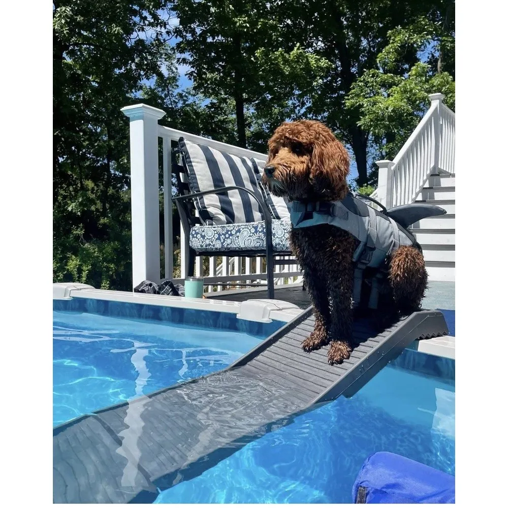 Dog Ramp for Pools (Long Legs Graphite/Gray)