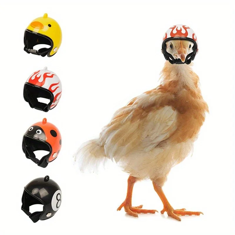 3-Piece Cartoon Chicken Helmets - Fun & Safe Pet Bird Hats For Parrots And Small Poultry, Durable Polypropylene