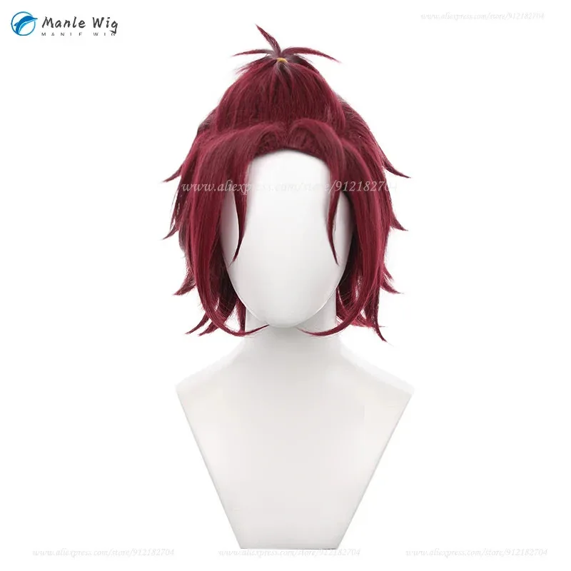 

qq34ES 32cm Short Red Brown Wig Heat Resistant Synthetic Hair Isara Mao Cosplay Anime Wigs