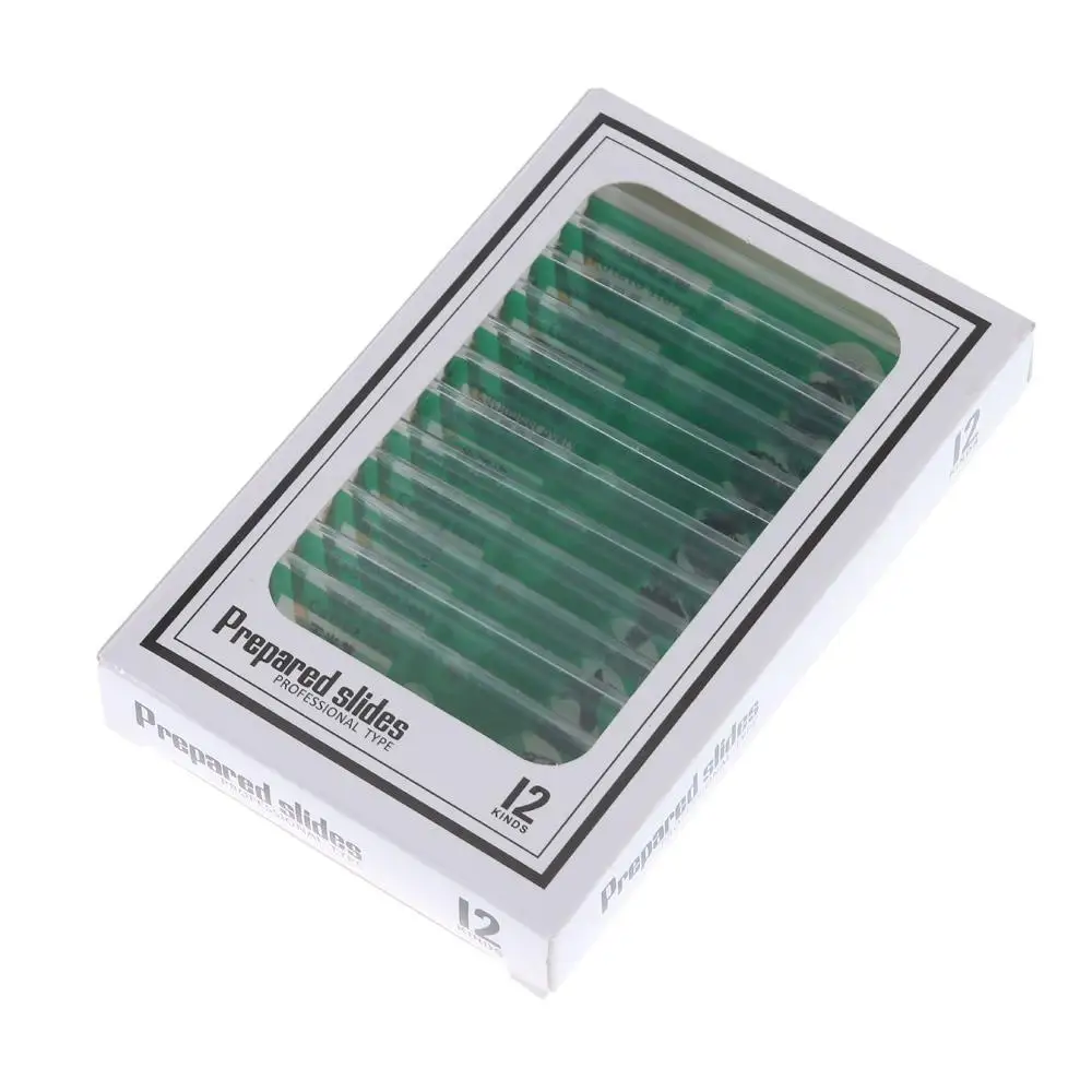 Plastic Microscope Slides Animals Insects Plants Flowers Sample Specimens Microscope Sample Prepared Slides Multicolor Kids
