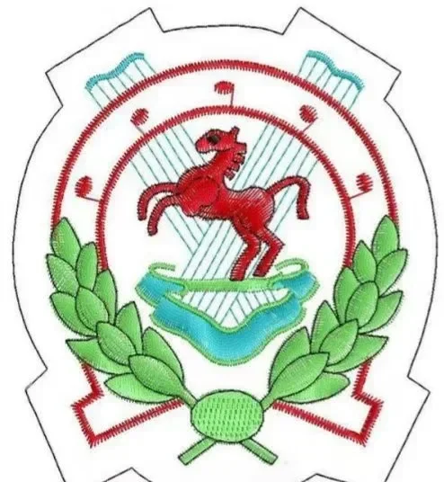 Bordado computadorizado multi-s de 6 cabeças e 12 cores