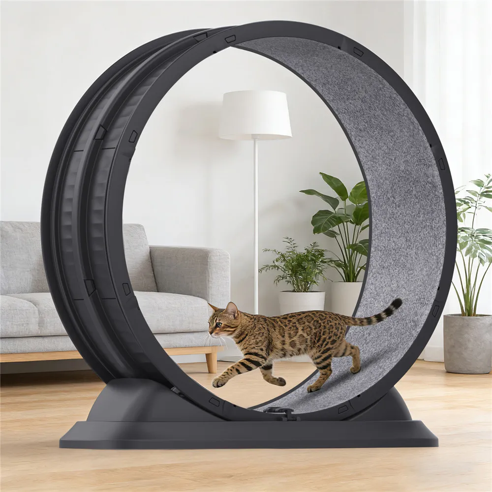  
 Katzen-Laufrad für drinnen, 31,5 Zoll großes Katzen-Laufrad mit abnehmbarem Teppich und Sicherheitsverschluss, ultra-leises Haustier-Laufband für Gehtraining. – Detail 1