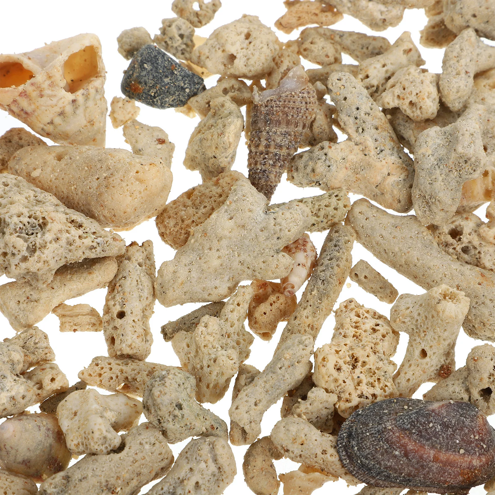 

Coral Bone Substrate Fish Tank Filtration Material Random Shape Size Purify Water Adsorb Harmful Substances Fresh Saltwater