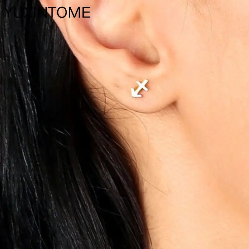 

925 Sterling Silver Needle 12 Constellations Small Stud Earrings for Women Personality Creativity Gold Earrings Fashion Jewelry