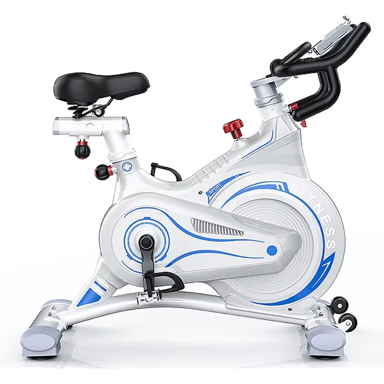 Exercise Bike Indoor Bike Fixed Bike Aerobic Fitness Adjustable Magnetic Resistance Machine for Home Gym