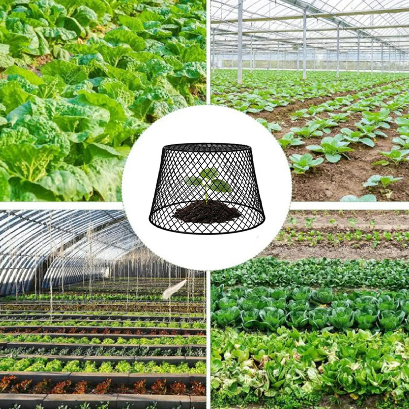 Cloches For Plants 10 Piece Net Guard Rust Resistant Plant Cloches For Vegetable Birds Shrubs Fruit Outdoor Patio Lawn Flowers