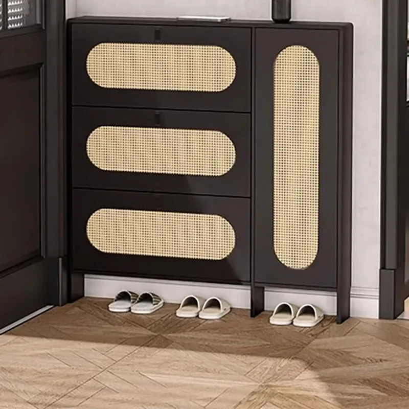 

Narrow Door Shoe Cabinets Multilayer Space Saving Adjustable Luxury Shoe Cabinets Storage Accent Zapatero Lounge Suite Furniture