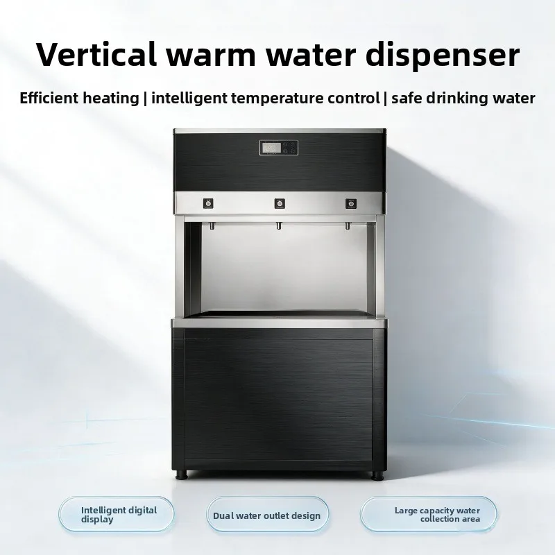 Business energy-saving warm water dispenser, reverse osmosis filter direct drinking machine