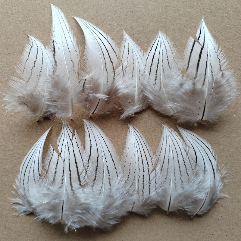 

200Pcs/Lot! 5-8cm Small Plumes,Natural Black&white Silver Pheasant Plumage Feathers,Loose Fashion Plumas for Accessories