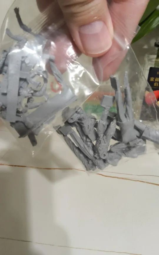 Buyer photo of this resin kit