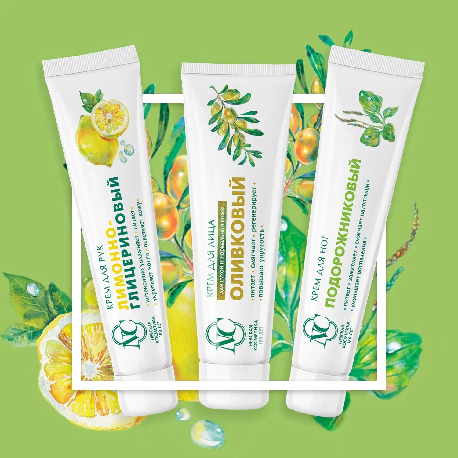 Russian NC Chamomile & Sea Buckthorn Hand Cream 50ml - With Vitamin E to Prevent Dryness