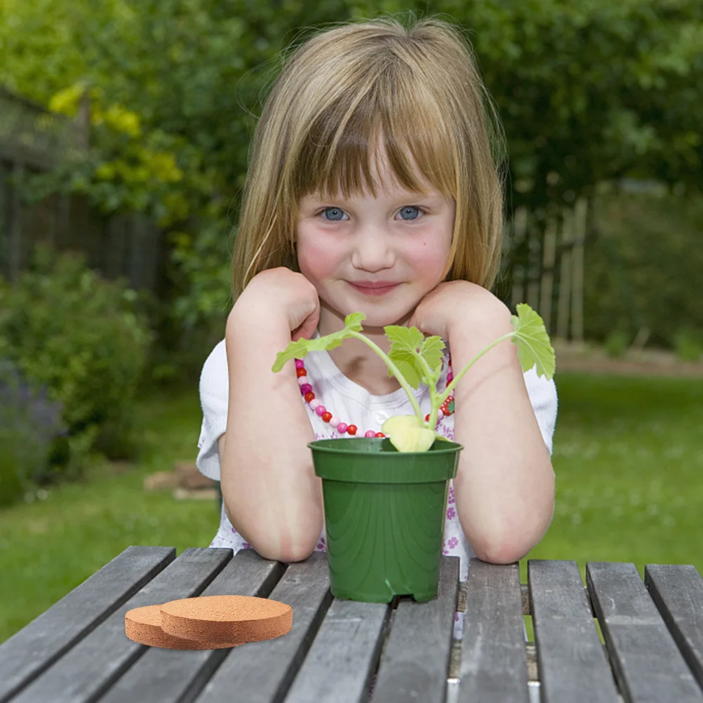 

4Pcs Plant Nutrient Block Compact Garden Soil Blocks with Essential Growth Elements Easy Storage Fast Expansion for Seed