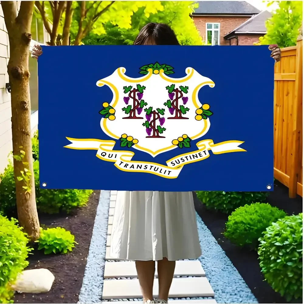 Connecticut Flags Borderless four-ring ornament indoor outdoor decoration effortless to hang