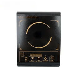 Mini Multifunction Electric Induction Cooker Milk Water Boiler Stove Tea Coffee Burner Noodle Cooking Hotpot Heating Plate