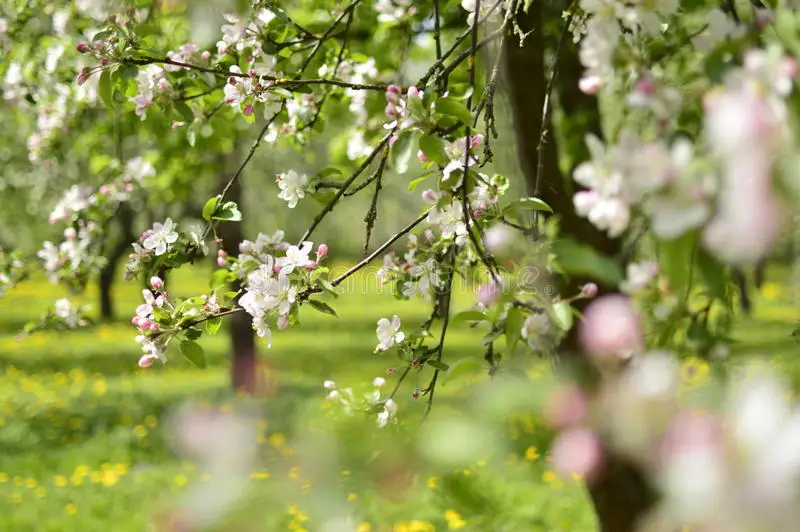 

Металлические улучшенные балочные детали для радиоуправляемых машин, подходят для MN 1/12 TK300 MN300, аксессуары для радиоуправляемых машин.