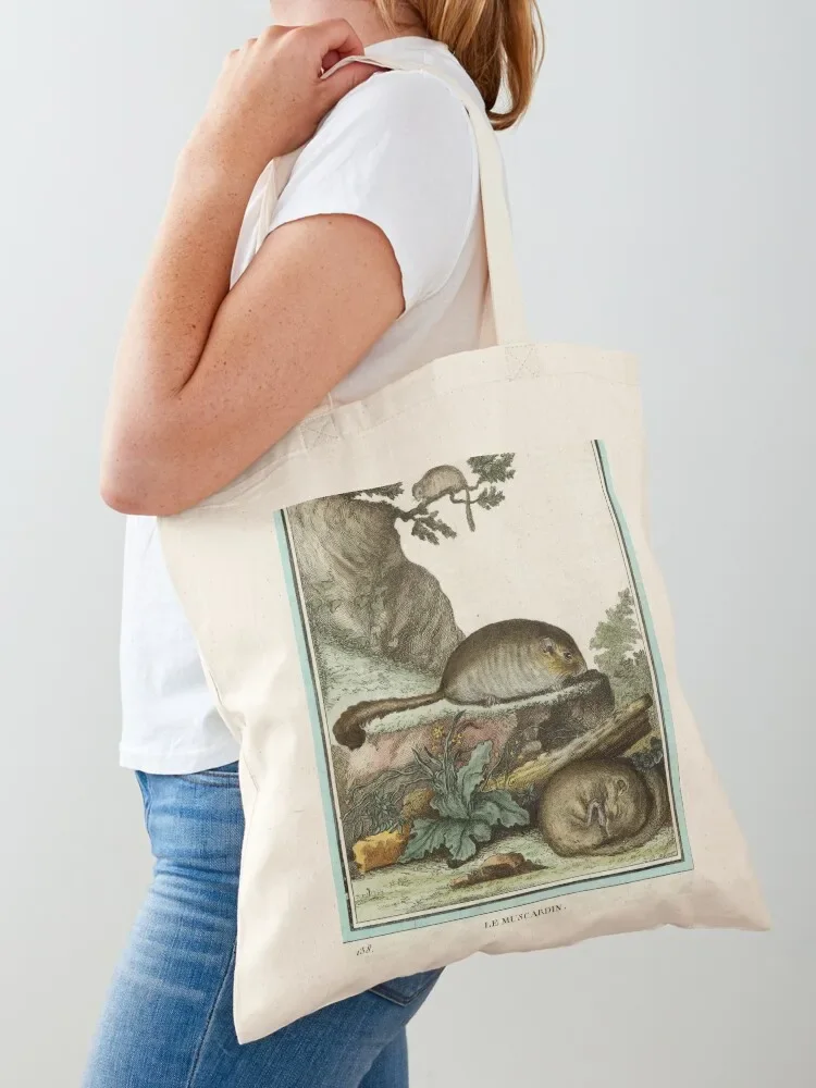 Dormice, one asleep and one awake Tote Bag shopping trolley bag ecological bags Tote Bag