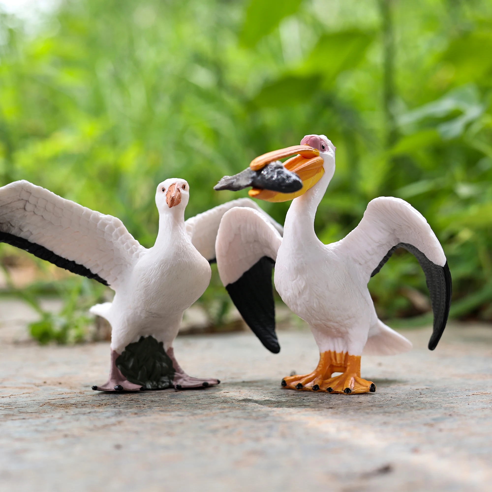 Classic Bird Animal Flamingos Parrot Sea Mew Peacock Owl Ostrich Model Solid PVC Action Figures Miniature Education Toy