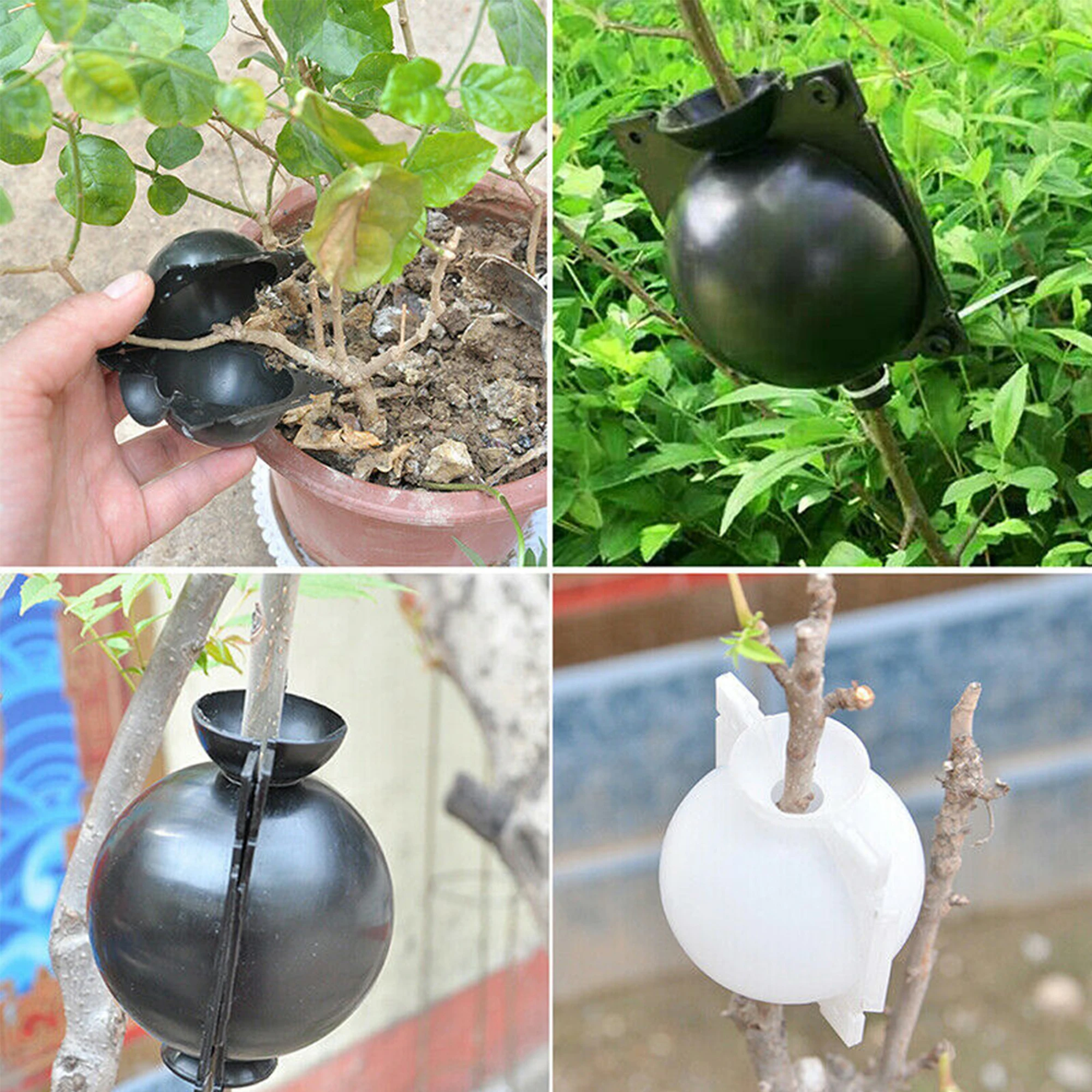 Bola de crecimiento de enraizamiento de plantas, 5 uds., para cortar la propagación, desarrollo de raíces más rápido, clonación de plantas, injerto, vainas reutilizables para vivero