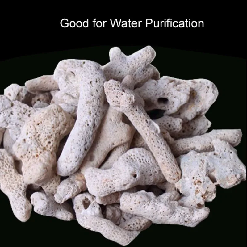 High Quality Natural Coral Bone Biochemical Ball Filter Media Nitrifying Bacteria House Fish Tank Clean Water  Materials