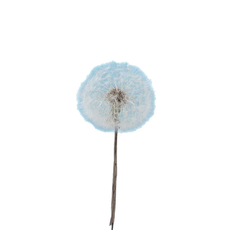 Preserved Dandelion DIY Epoxy Resin Craft Kit, Forever Dried Flower for Resin Molds, Decor & Photo Props - view 5