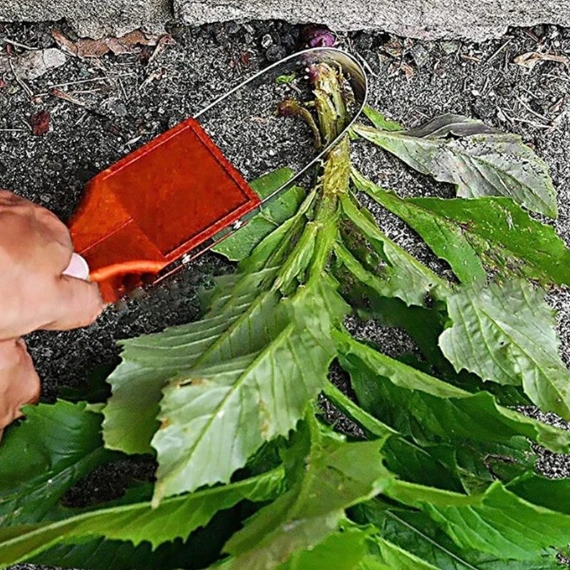 

Professional Stainless Steel Weeding Tool Manual Portable Ergonomic for Weeding Loosening Planting Gardening Vegetable M4YD