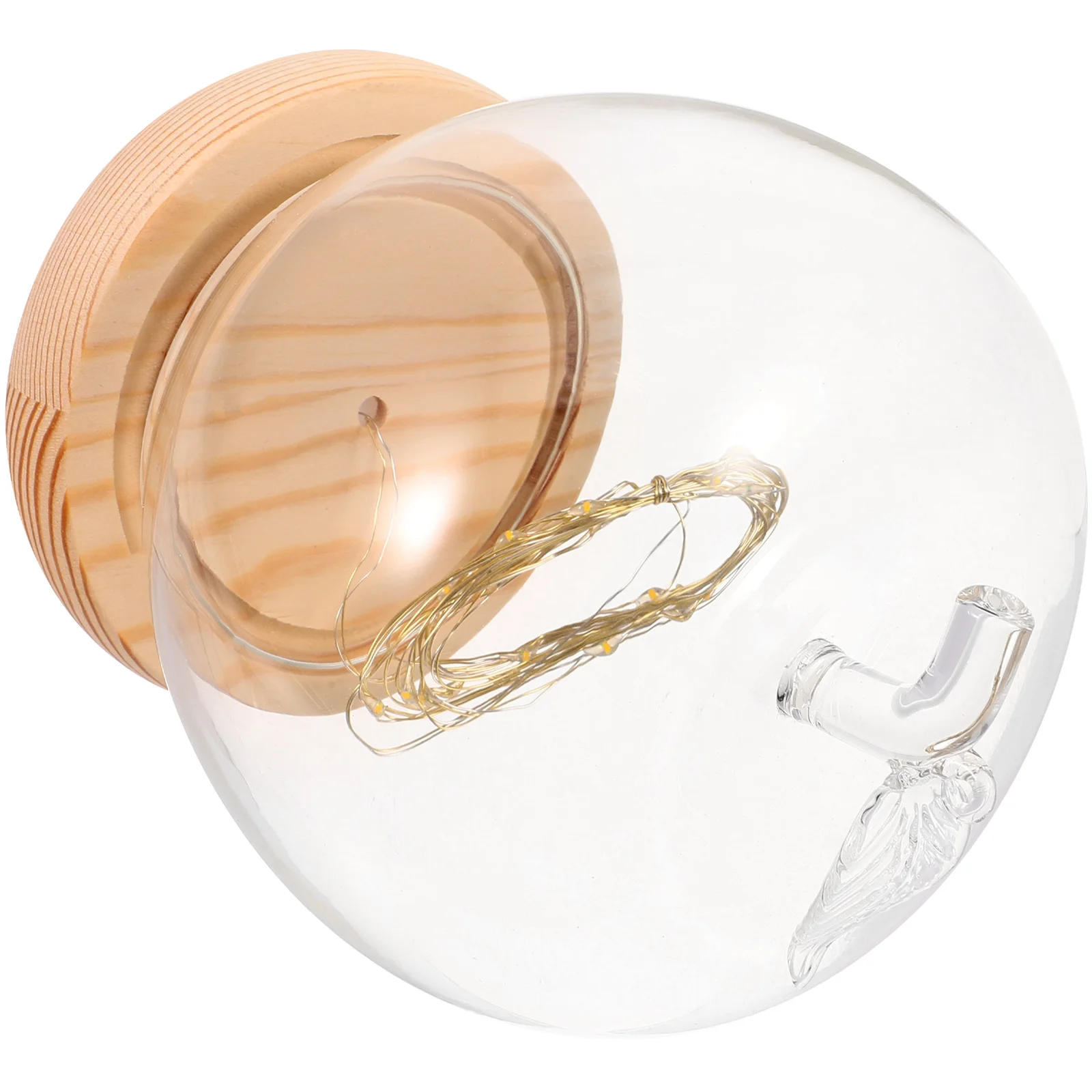 

Creative Apples Glass Cover Clear Dome Glowing Base Desktop Decor Display Case For Diy Flower Crafts Collectibles 2023 Xmas Home