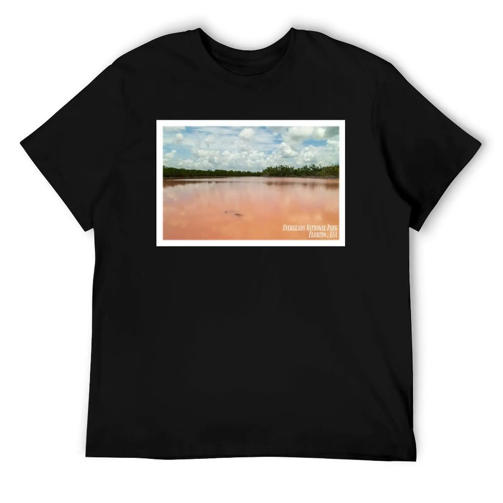 

Pink waters of the Everglades T-Shirt t shirts for man graphic funny t shirt man casual cotton t shirts man 100% T-Shirt