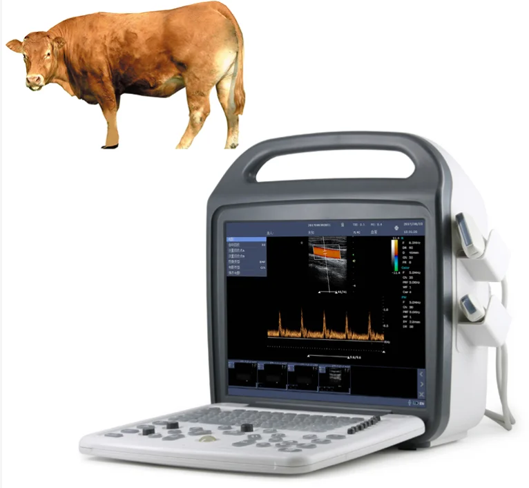 Ecógrafo Doppler Color Veterinario Portátil DCU10 para Animales Grandes, Ganado, Vacas y Caballos