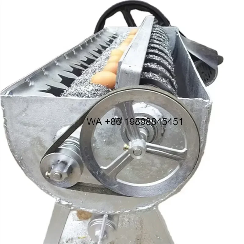 Wmwmnu High Speed Poultry Egg Washer for Chicken Farm House Goose Cleaning Equipment Automatic Egg Cleaner Device