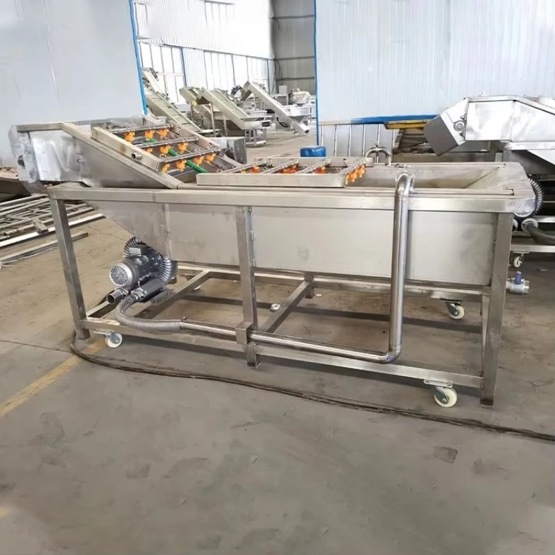 Vegetable air Bubble Cleaning Machine Vegetable Disinfecting Machine Vegetable Sorting Table
