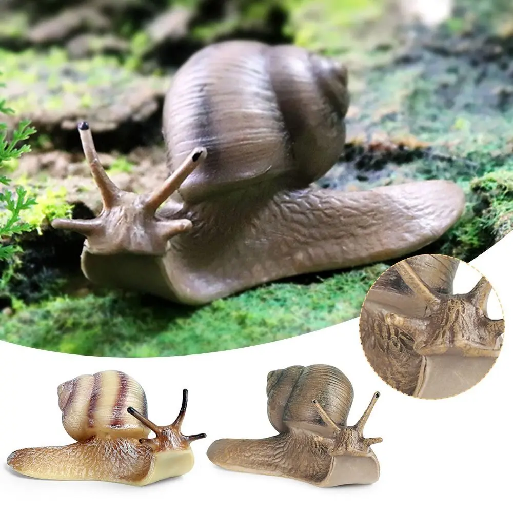 Home Office Decor Garden Decor Micro Landscape Decor for Fairy Garden Snail Figurine  Snail Statue Mini Animal Figures